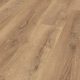 d4725_mountain_oak_nature_ok.jpg